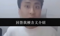 回答我梗含义介绍