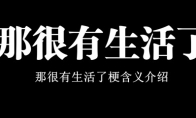 那很有生活了梗含义介绍