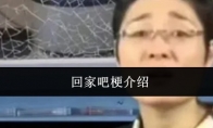 回家吧梗介绍