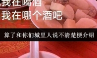 算了和你们城里人说不清楚梗介绍