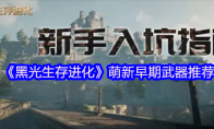 《黑光生存进化》攻略——萌新早期武器推荐