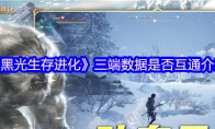 《黑光生存进化》攻略——三端数据是否互通介绍