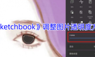 《sketchbook》攻略——调整图片透明度方法