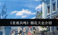 《星痕共鸣》攻略——烟花大会介绍