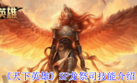 《天下英雄》攻略——SP龙祭司技能介绍