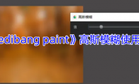 《medibang paint》攻略——高斯模糊使用教程