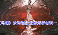 《鸣潮》攻略——坎特蕾拉升级培养材料一览