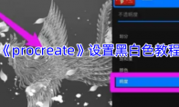 《procreate》攻略——设置黑白色教程