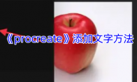 《procreate》攻略——添加文字方法