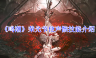 《鸣潮》攻略——荣光节使声骸技能介绍