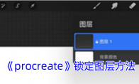 《procreate》攻略——锁定图层方法