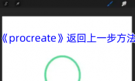 《procreate》攻略——返回上一步方法