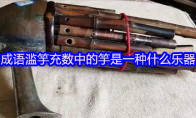 成语滥竽充数中的竽是一种什么乐器