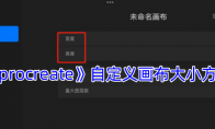 《procreate》攻略——自定义画布大小方法