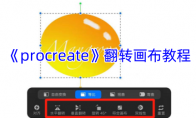 《procreate》攻略——翻转画布教程