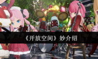 《开放空间》攻略——妙介绍