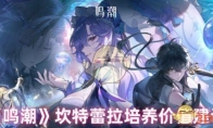 《鸣潮》攻略——坎特蕾拉培养价值建议