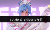 《远光84》攻略——皮肤价格介绍