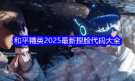 和平精英2025最新捏脸代码大全