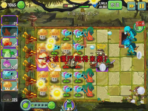 《植物大战僵尸2》失落之城第十五关攻略