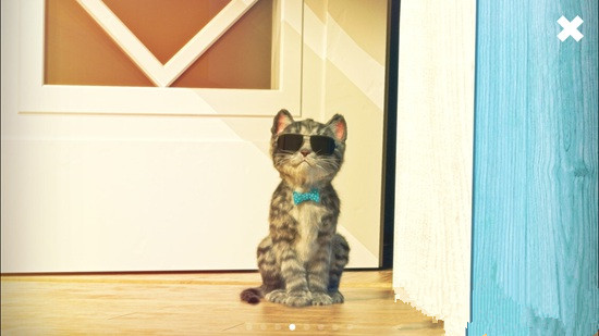 《我最喜爱的猫猫》手游评测：和它一起度过快乐时光