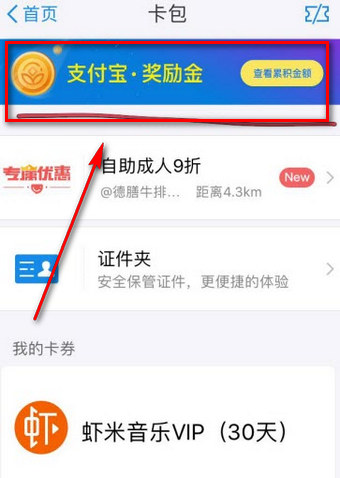 《支付宝》奖励金使用规则说明