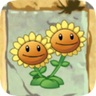 《植物大战僵尸2》植物图鉴之双胞向日葵（神秘埃及）
