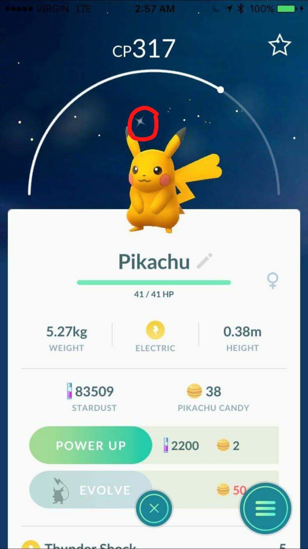 超稀有宝可梦“闪光皮卡丘”在《Pokemon Go》全球狩猎中出现