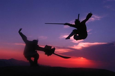 《新葵花宝典》论剑沙龙 高端比武擂台等你来战