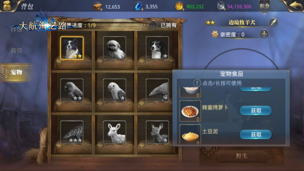 收获暖心陪伴 大航海之路宠物系统详解