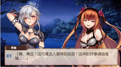 《姬魔恋战纪》17年最终更新前瞻