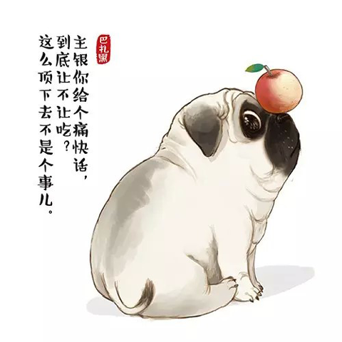 汪星人大咖驾到？《轮回诀》疑似即将开启品牌联动