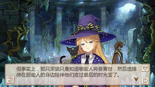 《姬魔恋战纪》双尾死神猫的暖心传说