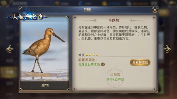 探索更多惊喜 《大航海之路》近期隐藏发现物一览