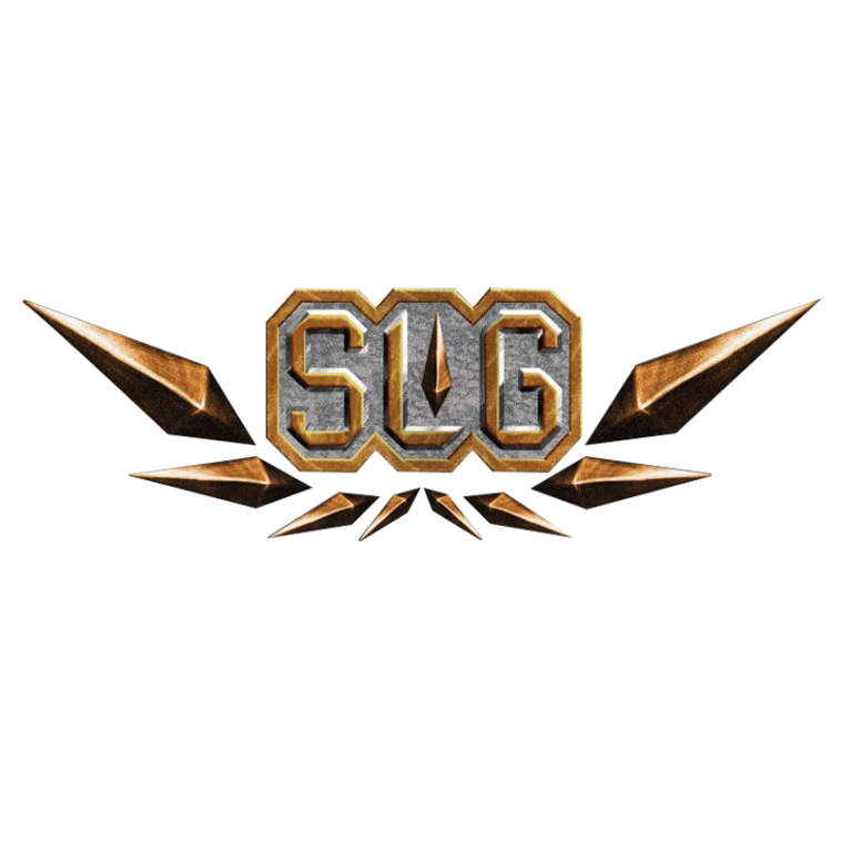 《终结者2》TSL总决赛：SLG战队专访