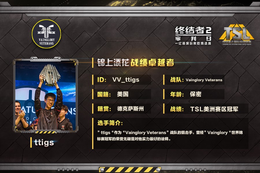 《终结者2》TSL总决赛：Vainglory Veterans战队专访