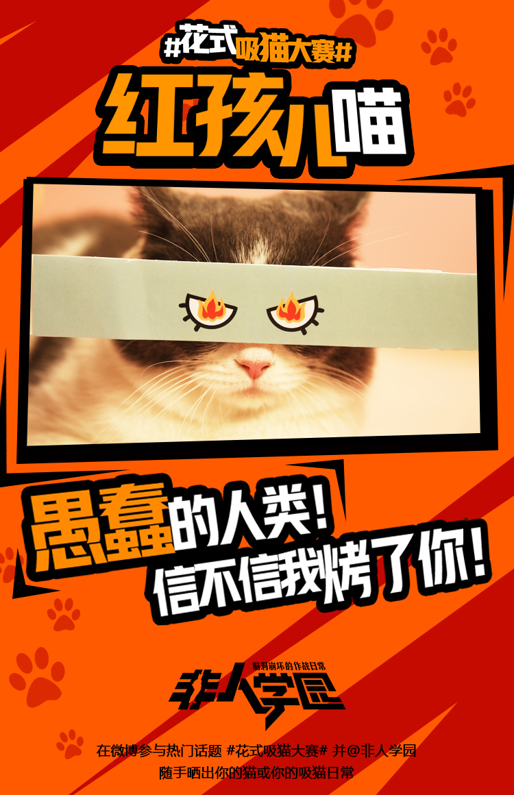 4.12去猫岛开黑！《非人学园》开启花式吸猫大赛