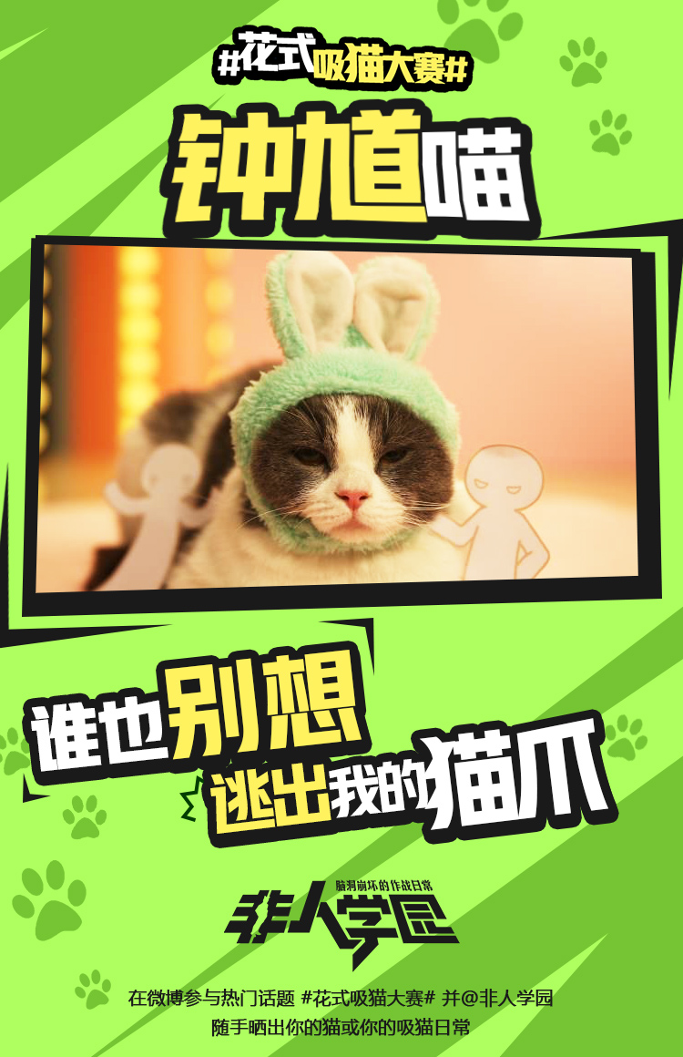 4.12去猫岛开黑！《非人学园》开启花式吸猫大赛