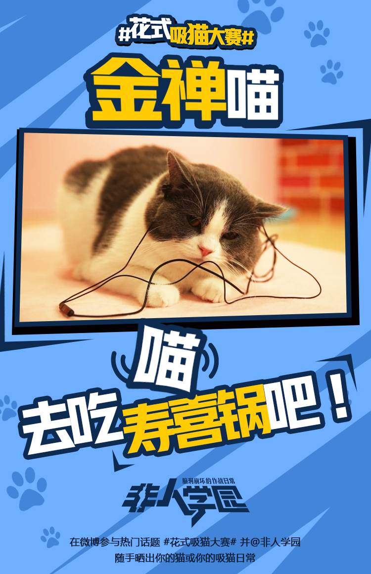 4.12去猫岛开黑！《非人学园》开启花式吸猫大赛