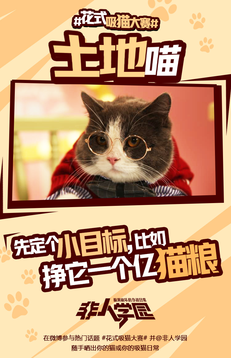 4.12去猫岛开黑！《非人学园》开启花式吸猫大赛