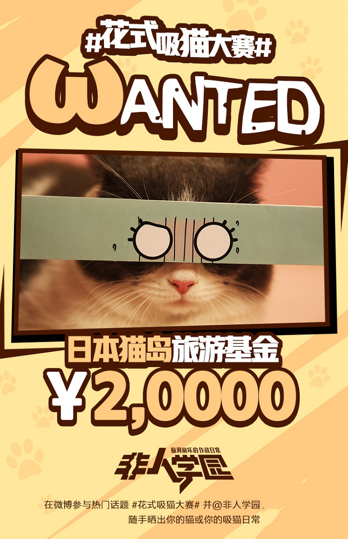 4.12去猫岛开黑！《非人学园》开启花式吸猫大赛