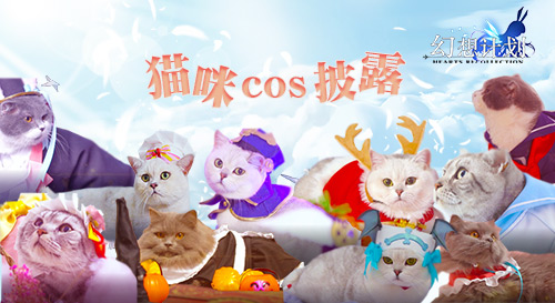 喵星人参上 《幻想计划》猫咪cos披露