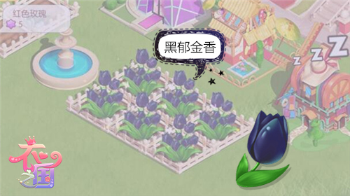 不说真不知道《衣之国》初学必知“五朵金花”