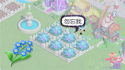不说真不知道《衣之国》初学必知“五朵金花”
