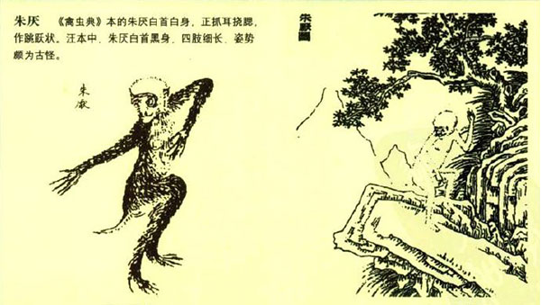 我的男票不一般！《半世界之旅》男神原型大揭秘