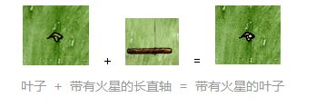 《一小时人生》生火所需工具和流程介绍