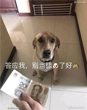 答应我不要当舔狗表情包 舔狗表情包套图