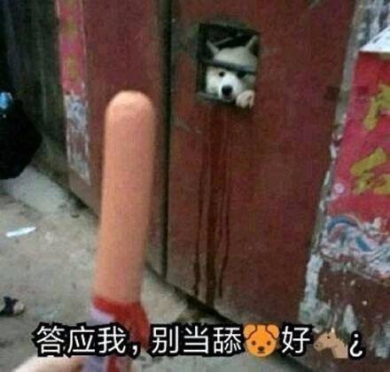 答应我不要当舔狗表情包 舔狗表情包套图