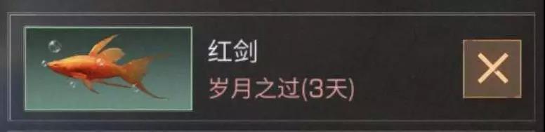 《明日之后》观赏鱼饲养技巧汇总