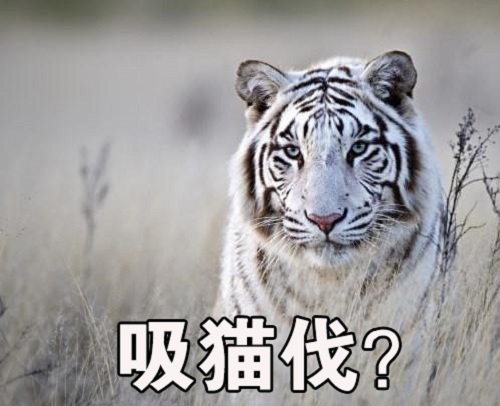 洪荒巨兽排行，噬元兽仅排第三?《火王》这只排…